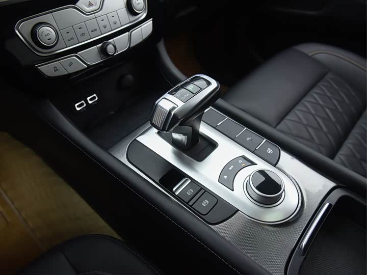 Great Wall  2021 PAO 2.0T passenger car global version automatic gasoline 4WD comfortable model