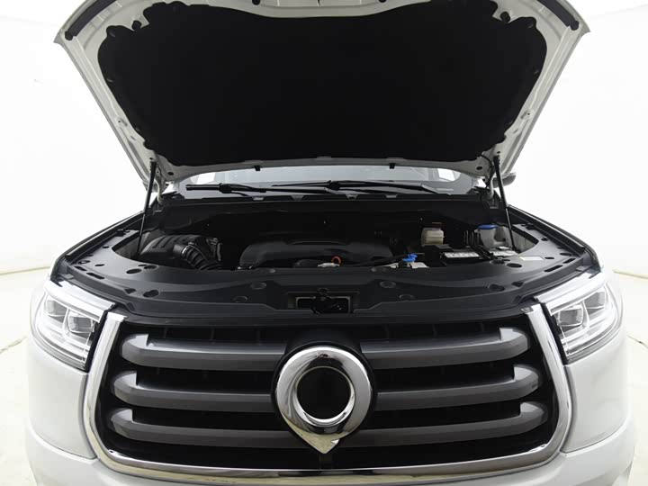 Great Wall  2021 PAO 2.0T passenger car global version automatic gasoline 4WD comfortable model