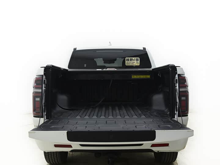 Great Wall  2021 PAO 2.0T passenger car global version automatic gasoline 4WD comfortable model