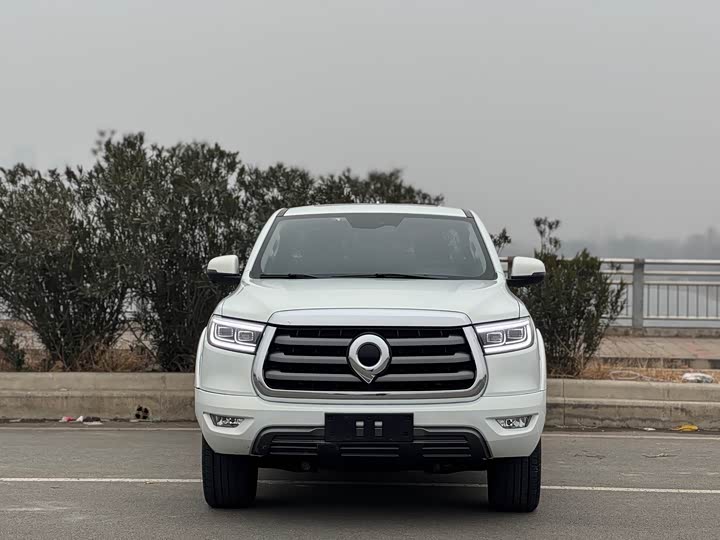  2021 PAO 2.0T passenger car global version automatic gasoline 4WD comfortable model