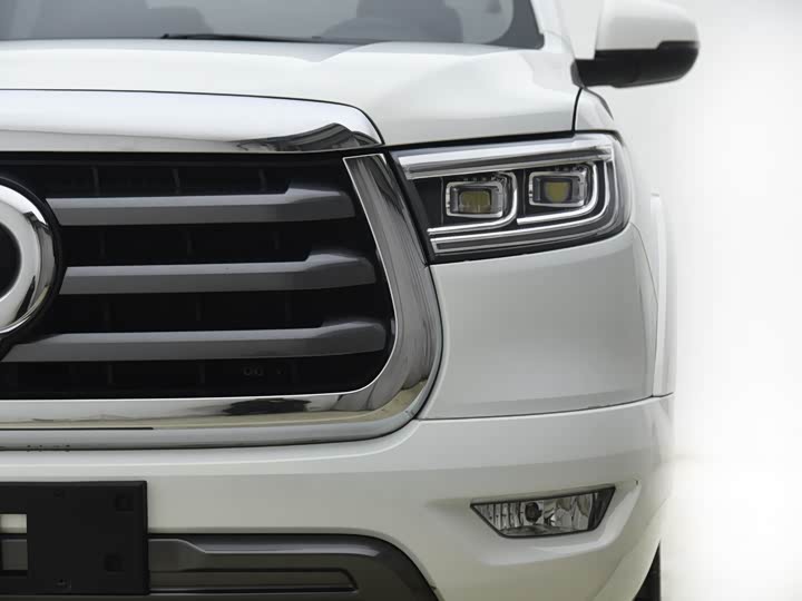 Great Wall  2021 PAO 2.0T passenger car global version automatic gasoline 4WD comfortable model