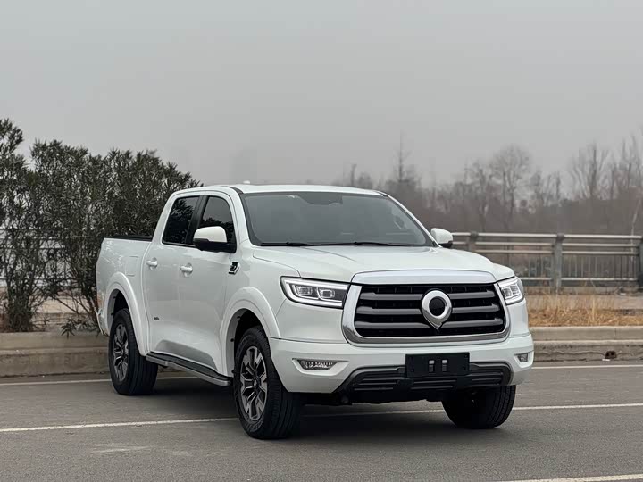 Great Wall  2021 PAO 2.0T passenger car global version automatic gasoline 4WD comfortable model