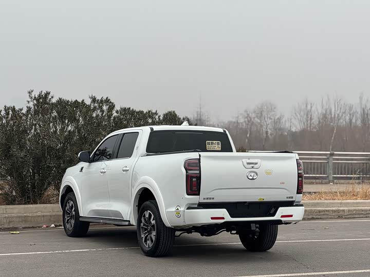 Great Wall  2021 PAO 2.0T passenger car global version automatic gasoline 4WD comfortable model