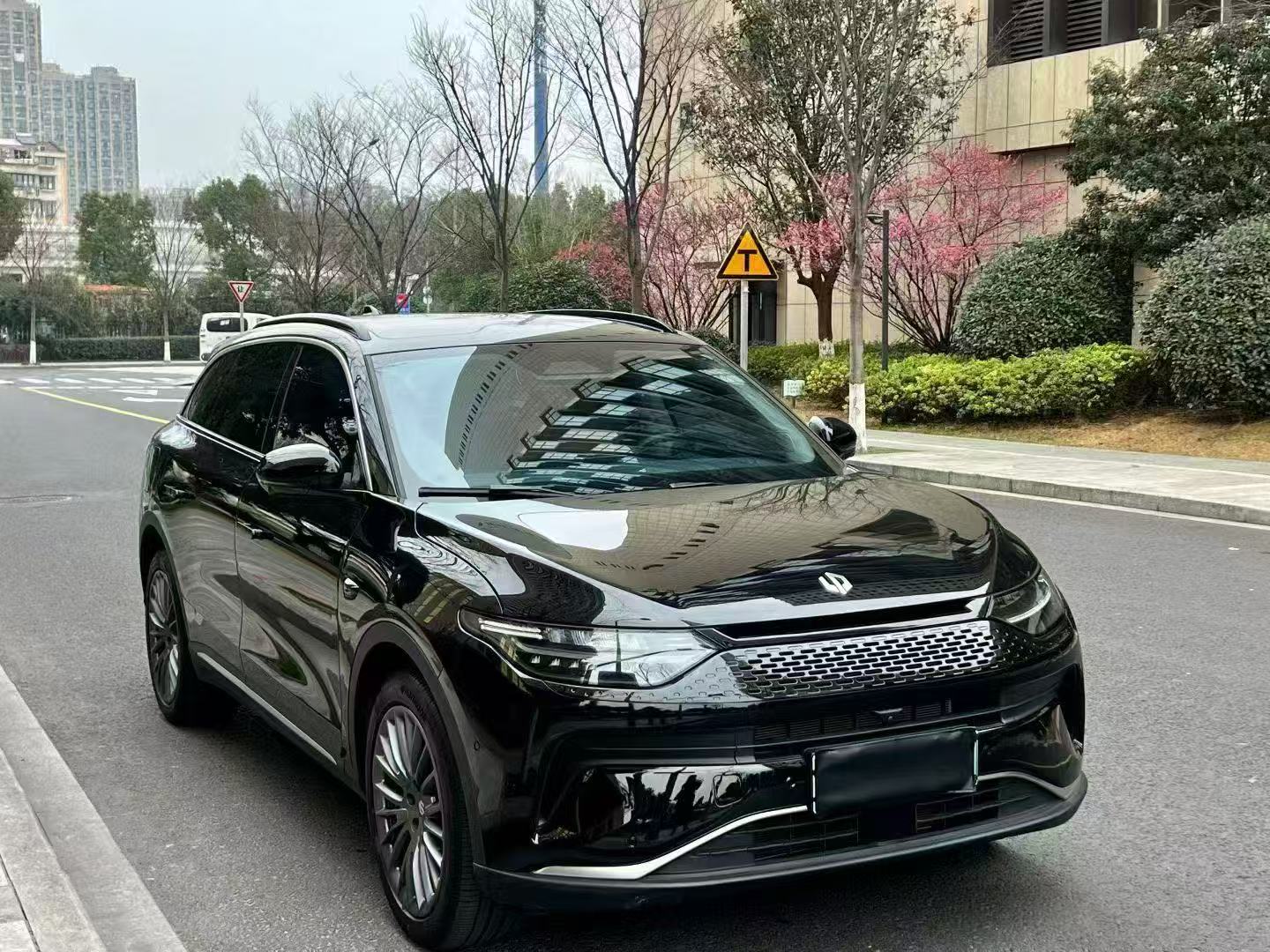 Leapmotor 2024 Leapmotor C11 EREV 300 Smart Enjoy