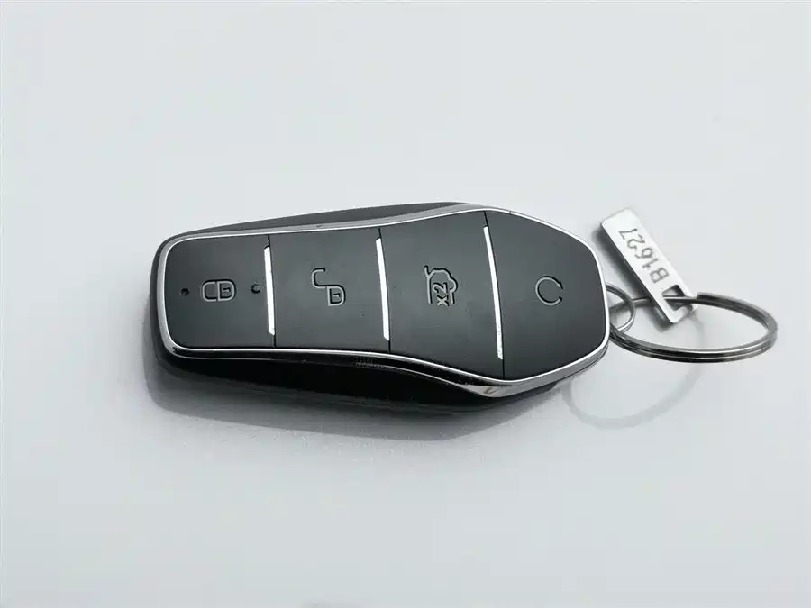 BYD BYD Yuan UP 2024 401KM Vitality Edition