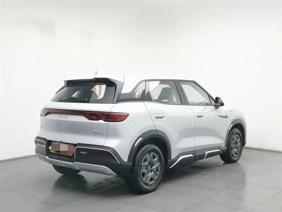 BYD BYD Yuan UP 2024 401KM Vitality Edition