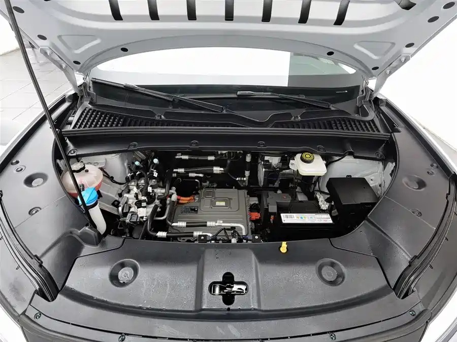 BYD Yuan UP 2024 401KM Vitality Edition