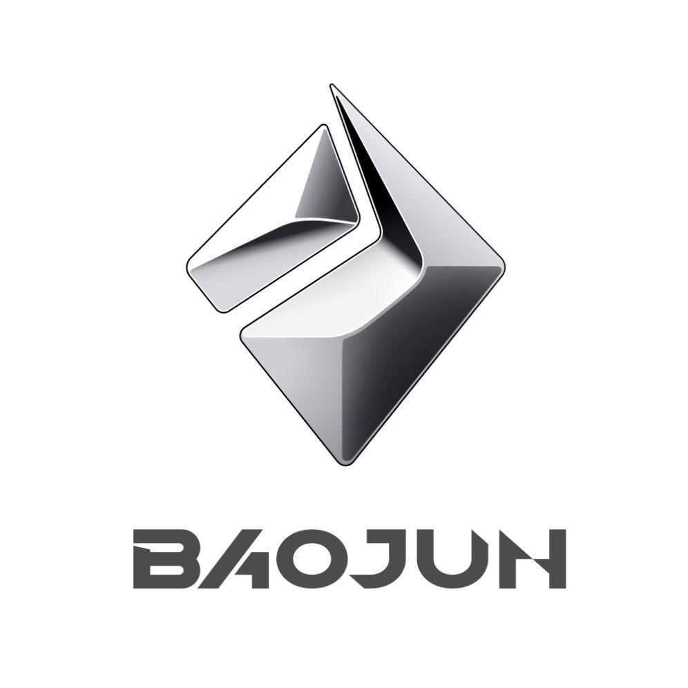 BAOJUN
