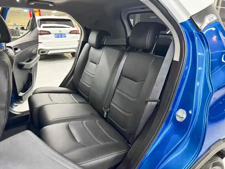 BYD 2019 BYD Yuan EV535 High Energy Navigation Edition