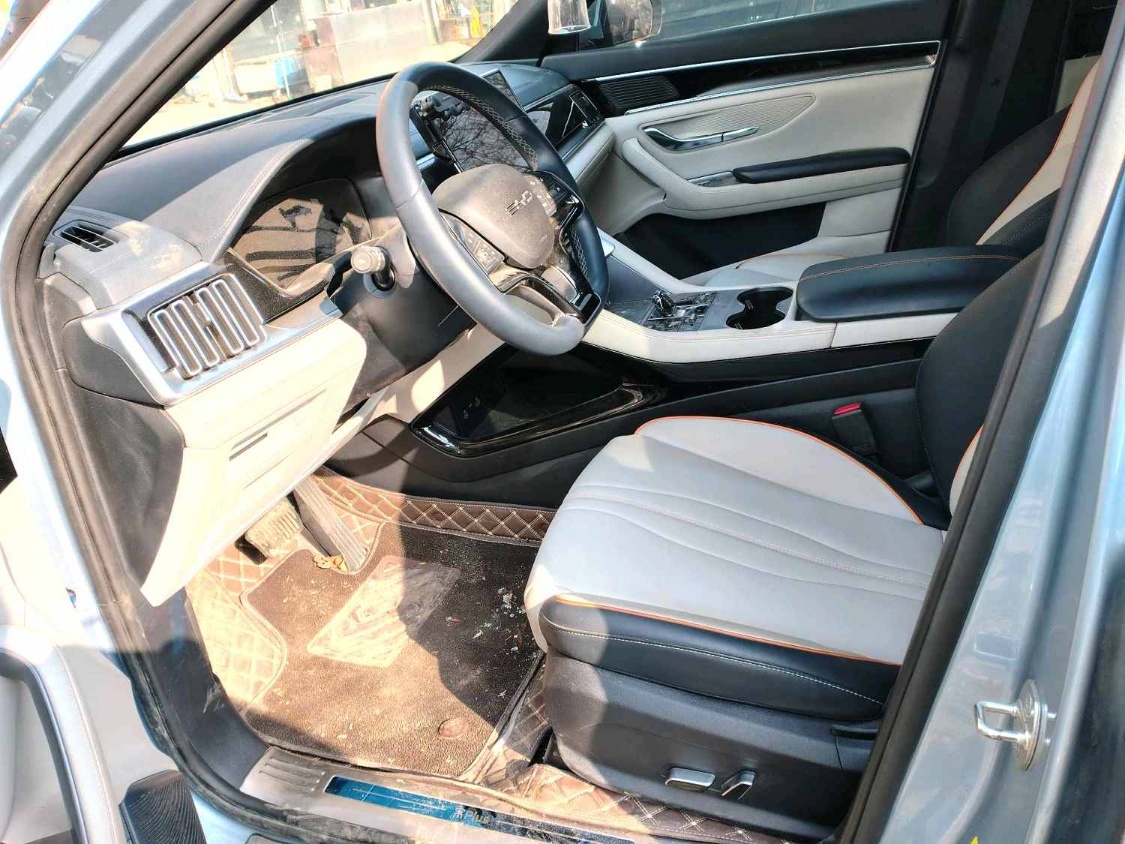 BYD 2025 BYD Song PLUS EV Intelligent Driving Edition 520km Pilot Edition