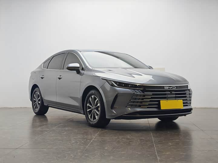 BYD BYD Destroyer 05 2023 Champion DM-i 55KM Luxury Edition