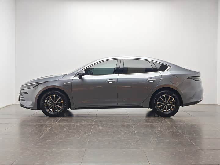 BYD BYD Destroyer 05 2023 Champion DM-i 55KM Luxury Edition