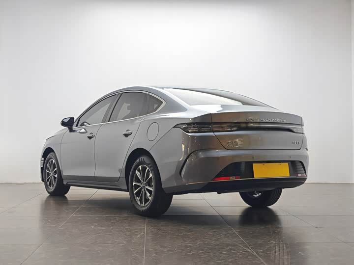 BYD BYD Destroyer 05 2023 Champion DM-i 55KM Luxury Edition