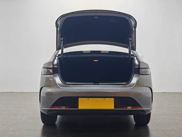 BYD BYD Destroyer 05 2023 Champion DM-i 55KM Luxury Edition