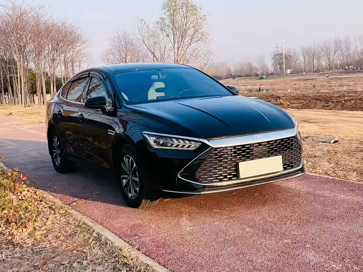 BYD Qin PLUS 2023 Champion Edition DM?i 55KM Leading Edition