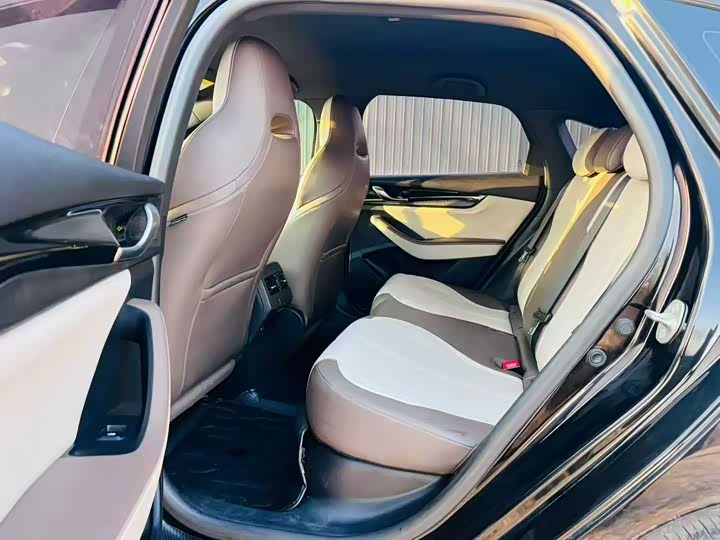 BYD Qin PLUS 2023 Champion Edition DM?i 55KM Leading Edition