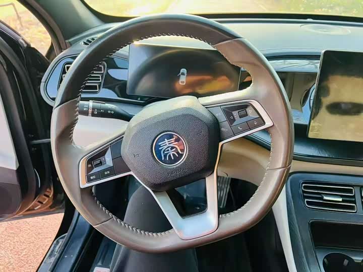 BYD Qin PLUS 2023 Champion Edition DM?i 55KM Leading Edition