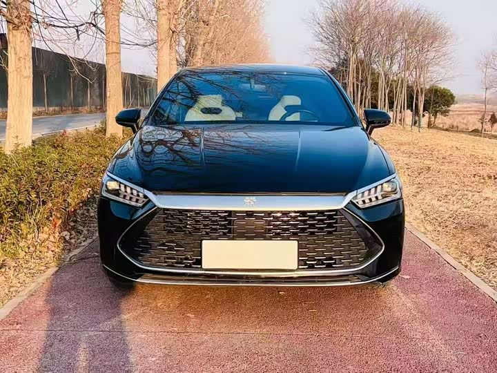 BYD Qin PLUS 2023 Champion Edition DM?i 55KM Leading Edition