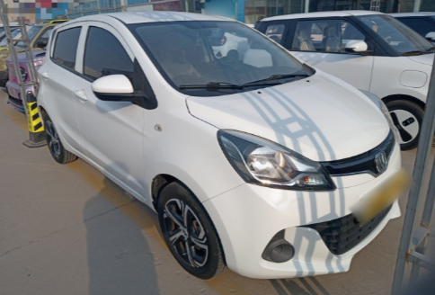 2021 Changan Oshan BenBen E-Star Edição Versão Nacional