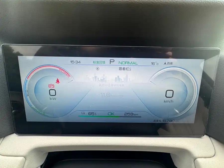 BYD BYD Yuan UP 2024 401KM Vitality Edition