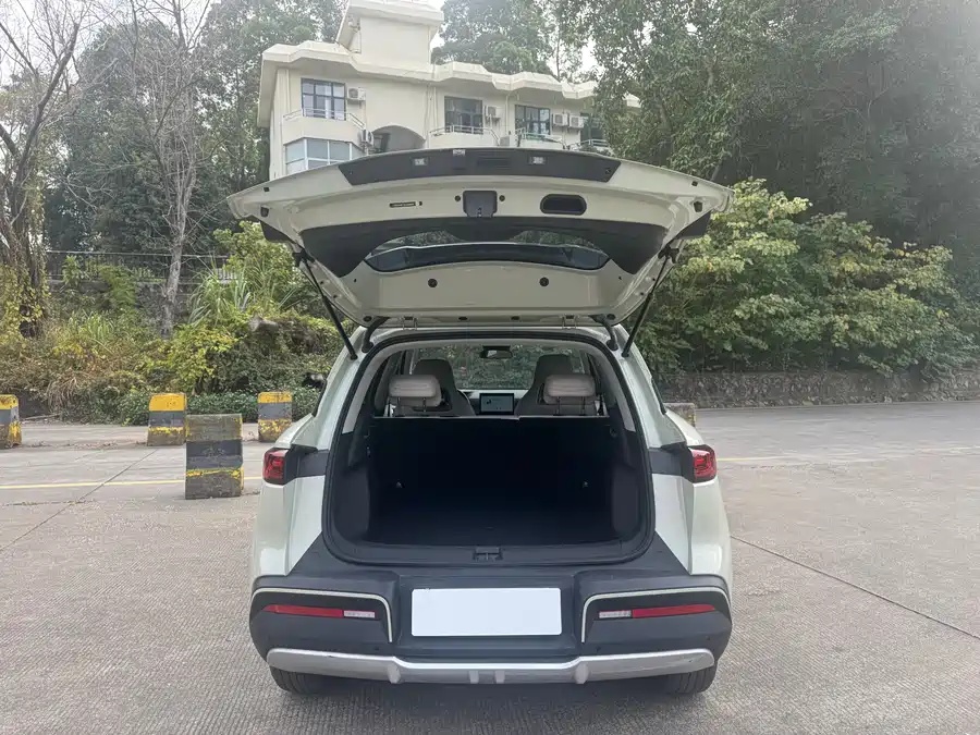 BYD BYD Yuan UP 2024 401KM Vitality Edition