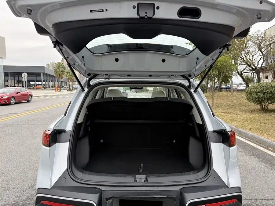 BYD BYD Yuan UP 2025 Intelligent Driving Edition 401KM Beyond Model