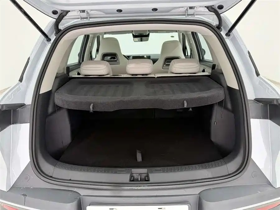 BYD BYD Yuan UP 2025 Smart Driving Edition 401km Transcendent