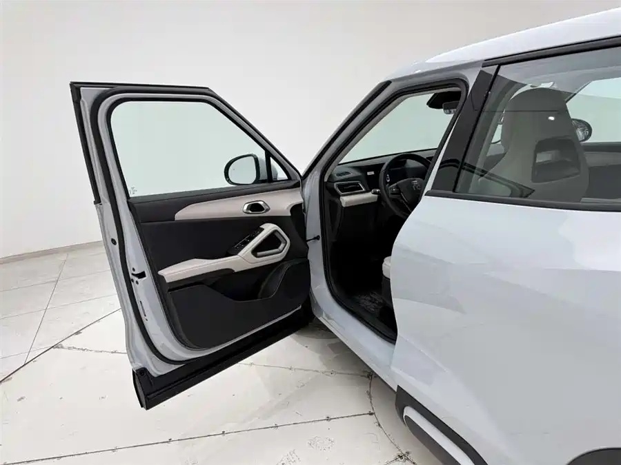 BYD Yuan UP 2025 Intelligent Driving Edition 401km Transcendent