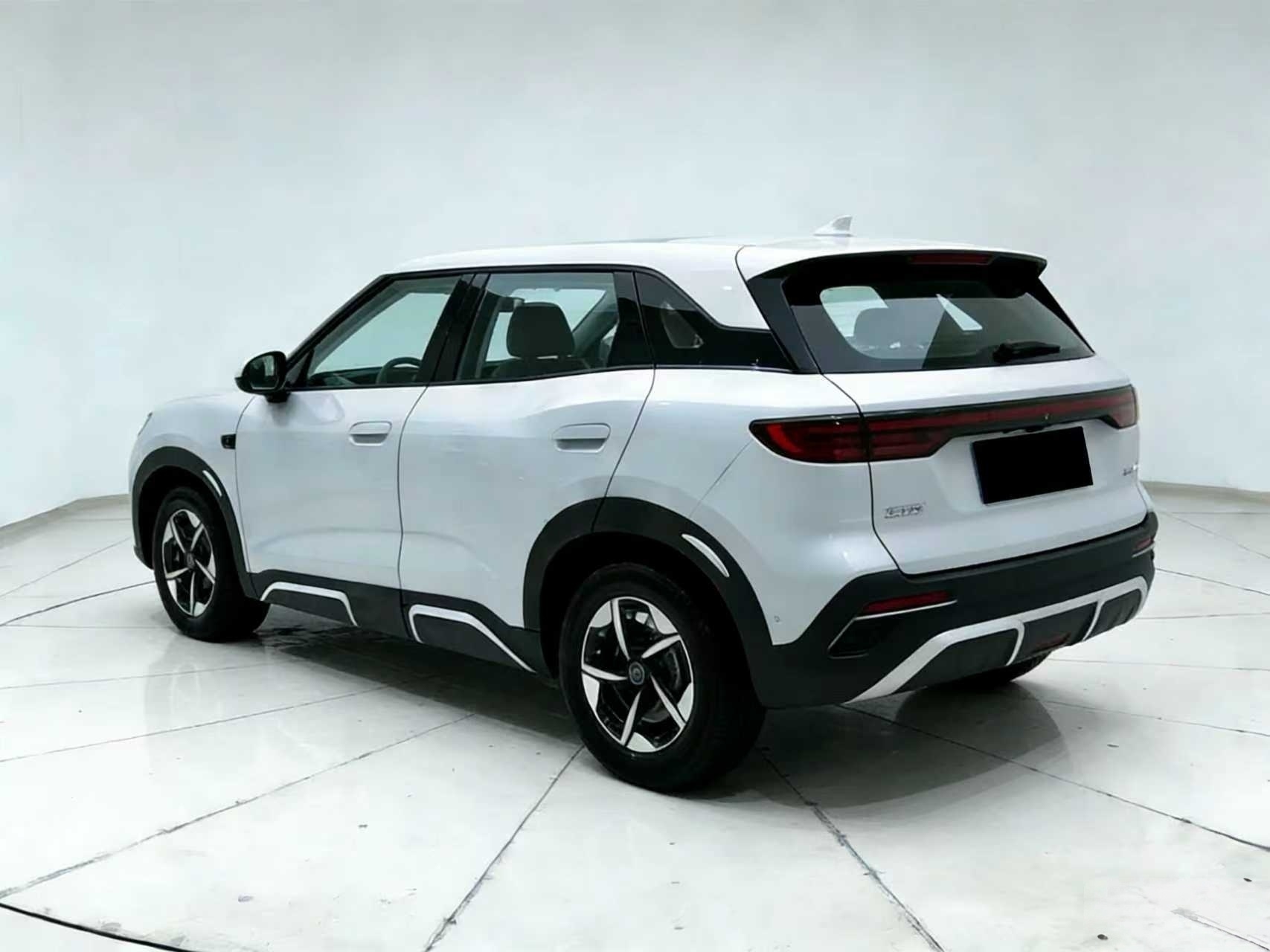 BYD Yuan UP 2025 Intelligent Driving Edition 401km Transcendent