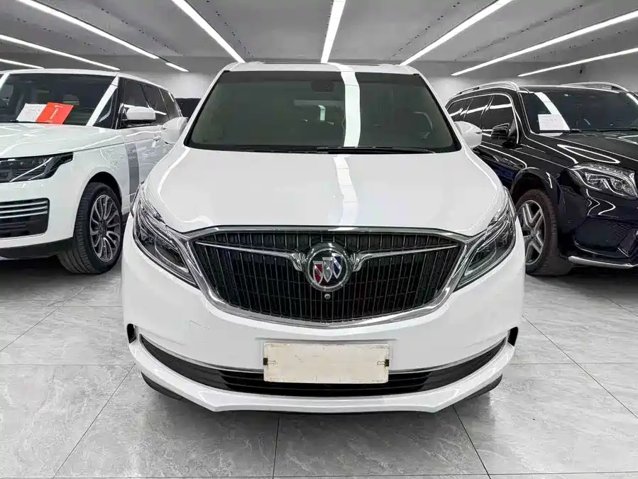 Buick 2017 Buick GL8 ES 28T Luxury Edition (National V)