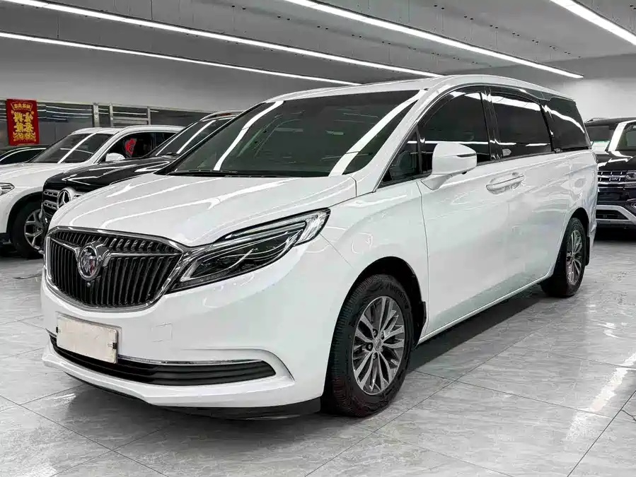Buick 2017 Buick GL8 ES 28T Luxury Edition (National V)