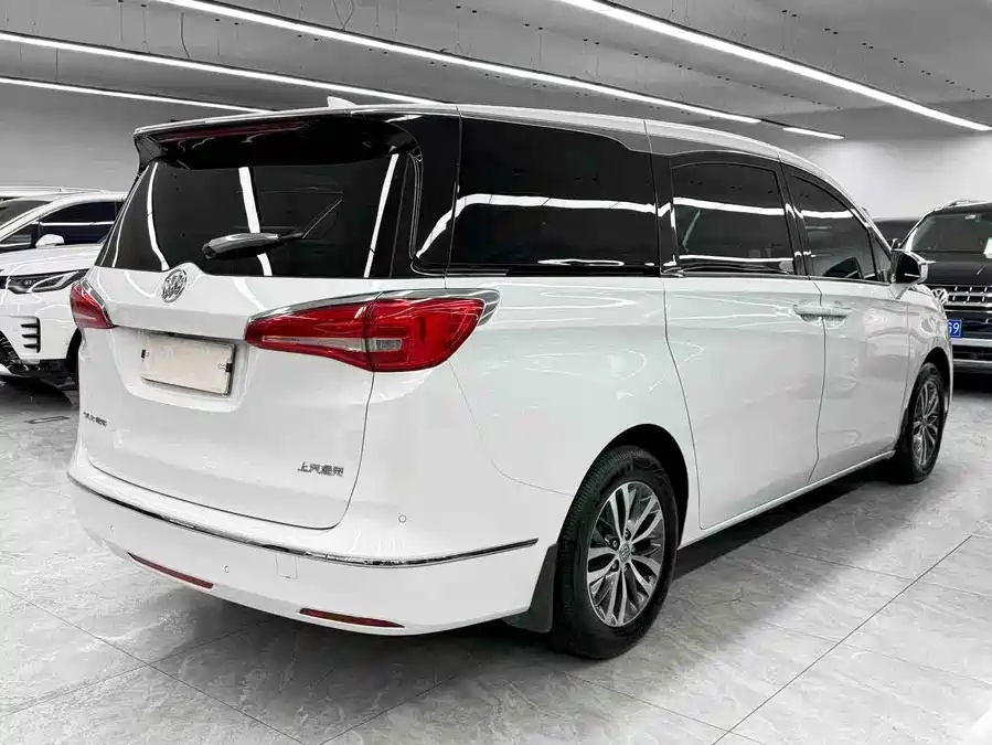 Buick 2017 Buick GL8 ES 28T Luxury Edition (National V)