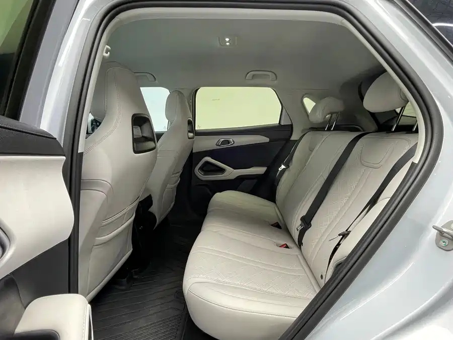 BYD 2024 BYD Yuan UP 301km Leading Edition