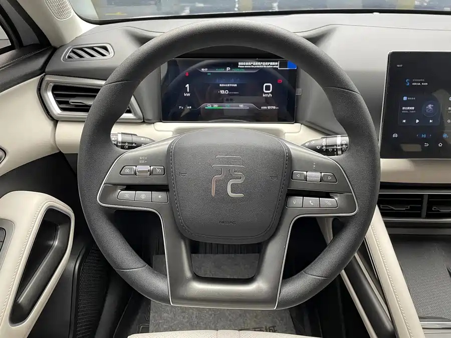 BYD 2024 BYD Yuan UP 301km Leading Edition