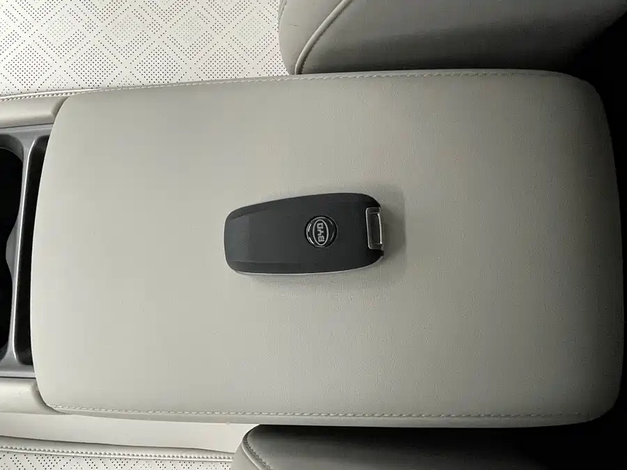 BYD 2024 BYD Yuan UP 301km Leading Edition