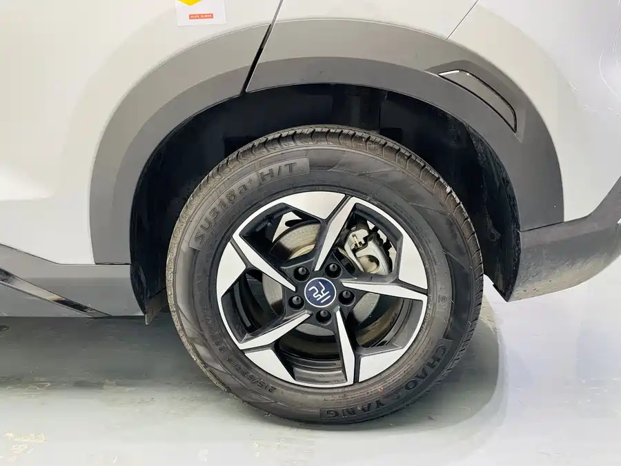 BYD 2024 BYD Yuan UP 301km Leading Edition