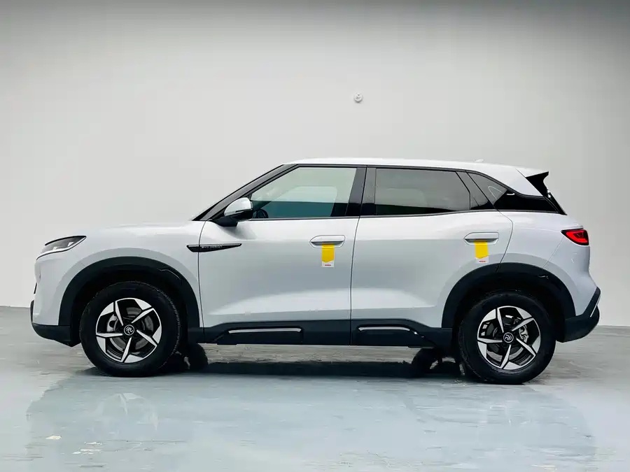 BYD 2024 BYD Yuan UP 301km Leading Edition