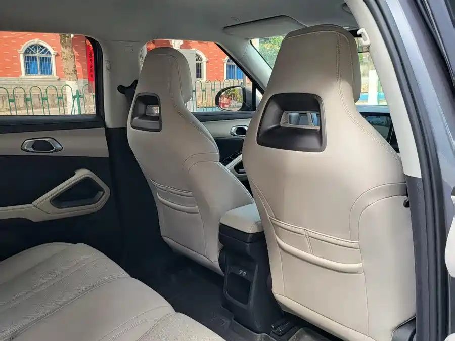 BYD 2024 BYD Yuan UP 401km Excellence Edition