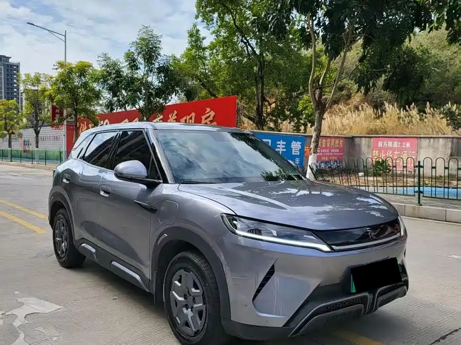 BYD 2024 BYD Yuan UP 401km Excellence Edition