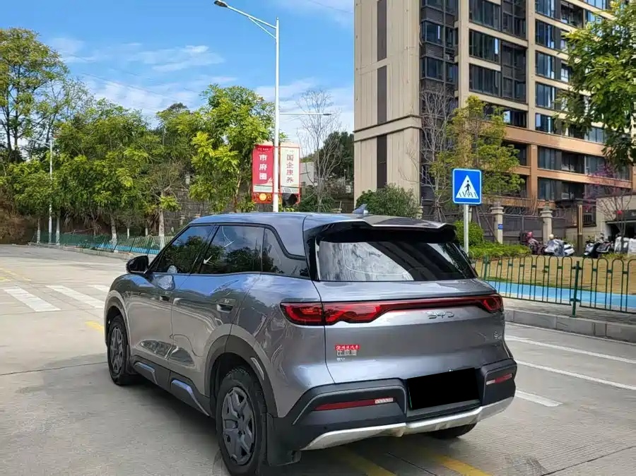 BYD 2024 BYD Yuan UP 401km Excellence Edition