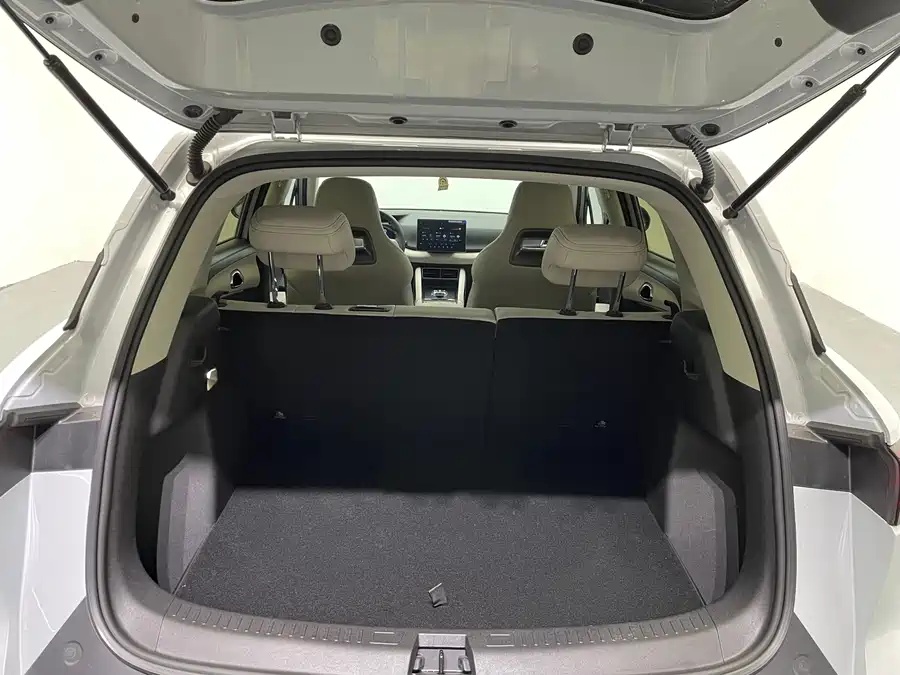2024 BYD Yuan UP 301km Leading Edition