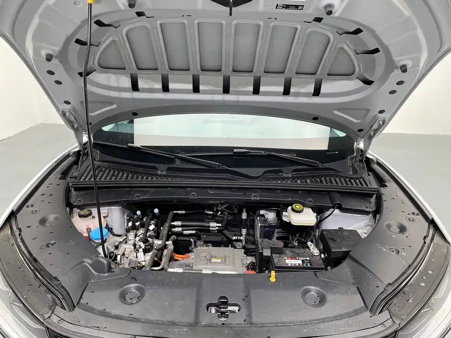 2024 BYD Yuan UP 301km Leading Edition