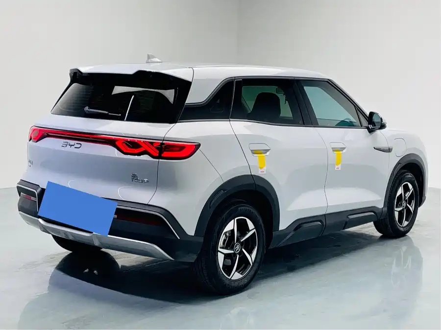 2024 BYD Yuan UP 301km Leading Edition