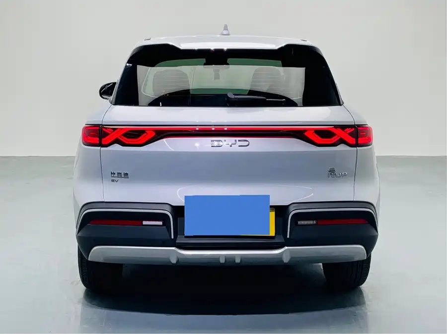 2024 BYD Yuan UP 301km Leading Edition