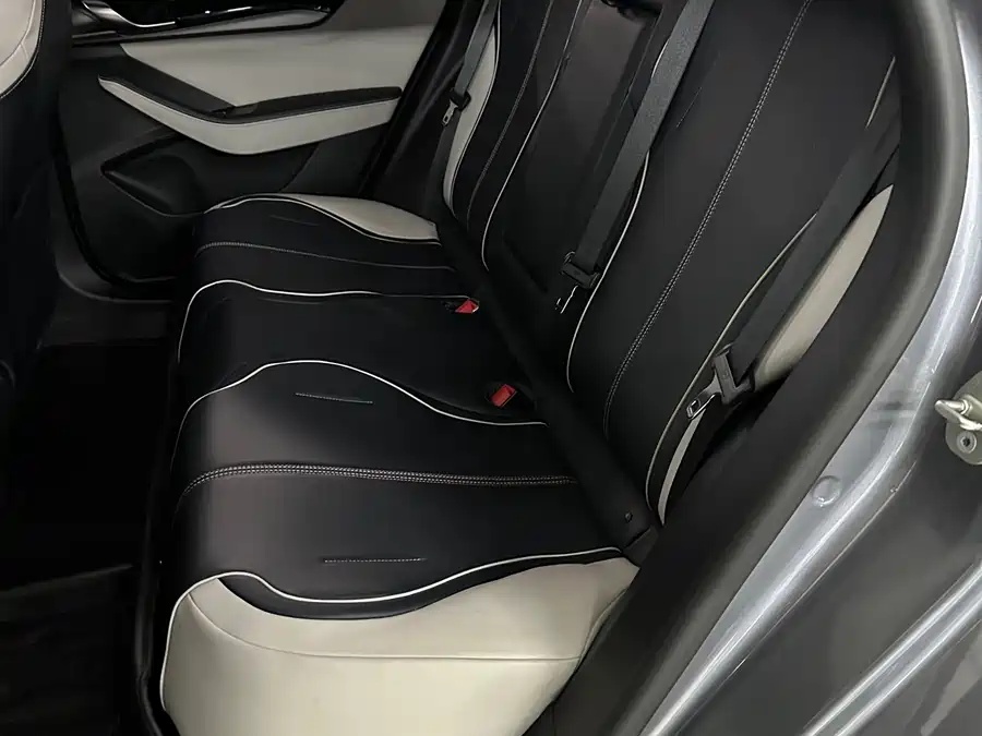 BYD BYD Qin PLUS 2021 EV 500km Honorable Type