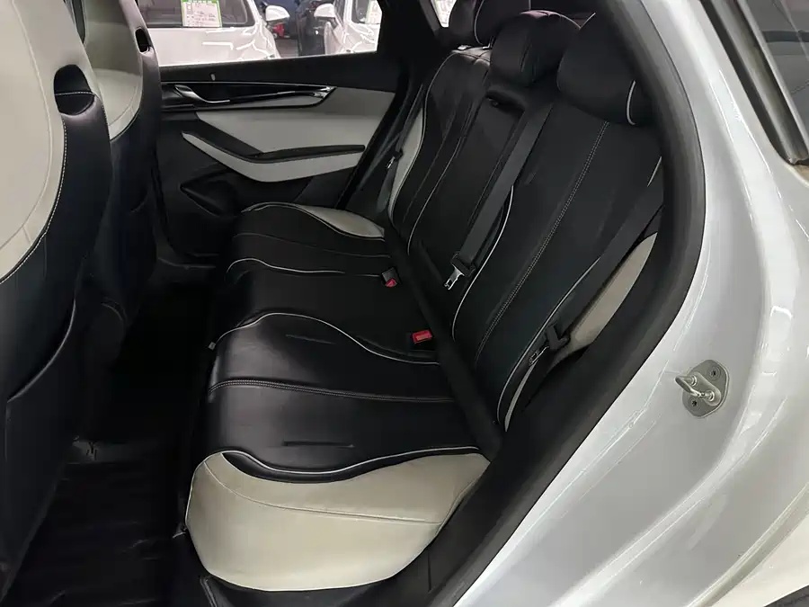 BYD BYD Qin PLUS 2021 EV 500km Honorable Type