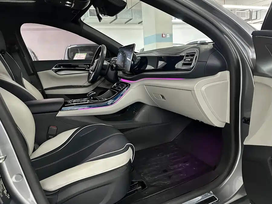 BYD BYD Qin PLUS 2021 EV 500km Honorable Type