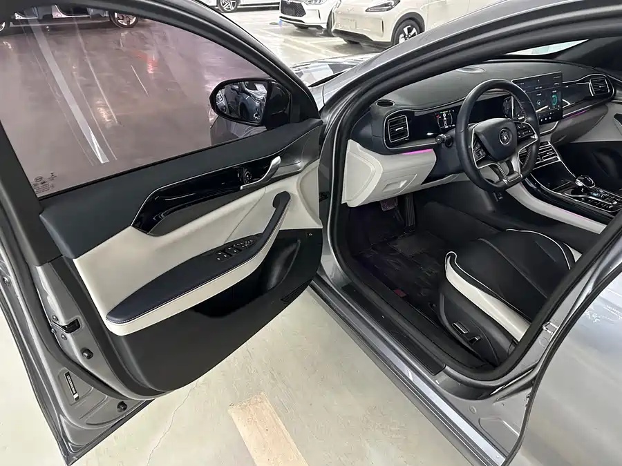 BYD BYD Qin PLUS 2021 EV 500km Honorable Type