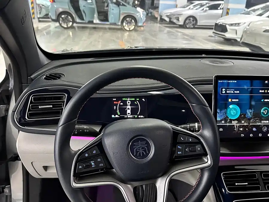 BYD BYD Qin PLUS 2021 EV 500km Honorable Type