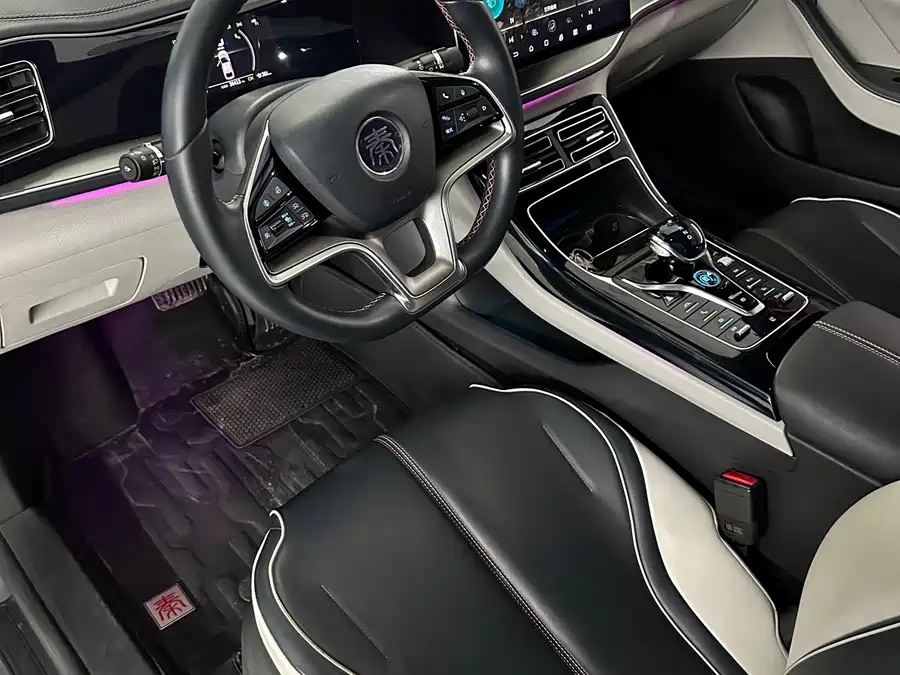 BYD BYD Qin PLUS 2021 EV 500km Honorable Type